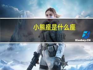 小熊座是什么座（小熊座是什么星座）