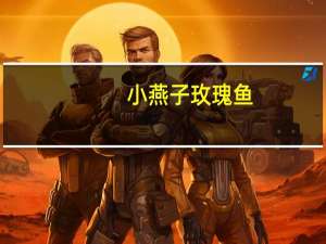 小燕子 玫瑰鱼(香辣味)的热量是多少