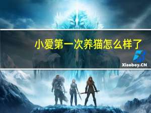 小爱第一次养猫怎么样了