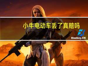 小牛电动车丢了真赔吗