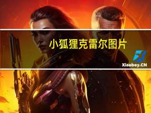 小狐狸克雷尔图片（小狐狸克雷尔）