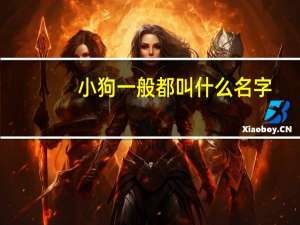 小狗一般都叫什么名字