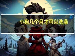 小狗几个月才可以洗澡