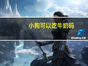 小狗可以吃牛奶吗