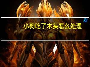 小狗吃了木头怎么处理