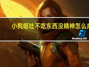 小狗呕吐不吃东西没精神怎么办