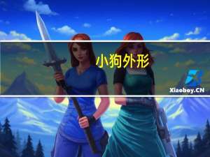 小狗外形