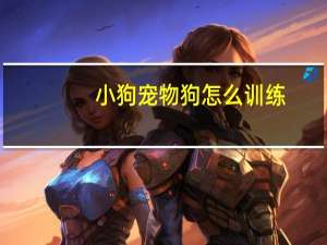 小狗宠物狗怎么训练