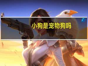 小狗是宠物狗吗