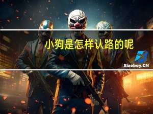 小狗是怎样认路的呢