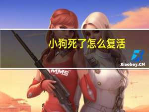 小狗死了怎么复活