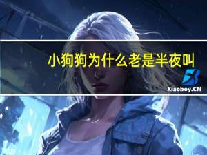 小狗狗为什么老是半夜叫