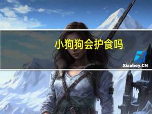 小狗狗会护食吗