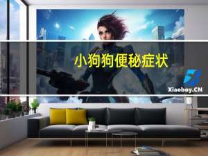 小狗狗便秘症状