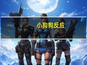 小狗狗反应