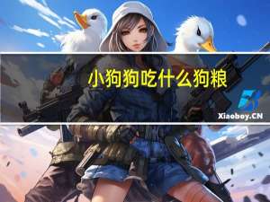 小狗狗吃什么狗粮
