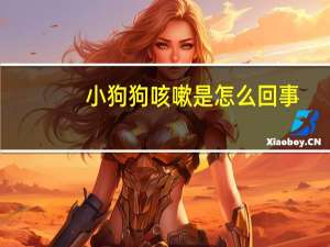 小狗狗咳嗽是怎么回事