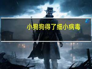 小狗狗得了细小病毒