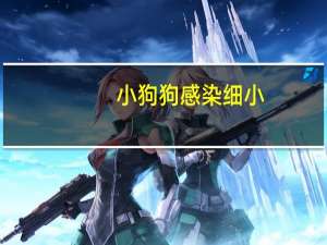 小狗狗感染细小