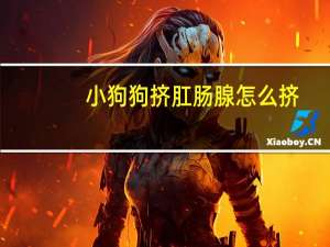 小狗狗挤肛肠腺怎么挤