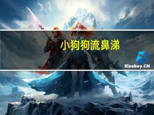 小狗狗流鼻涕