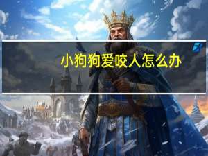 小狗狗爱咬人怎么办