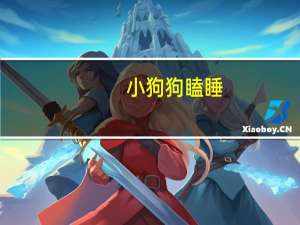 小狗狗瞌睡