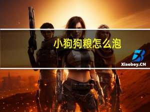 小狗狗粮怎么泡