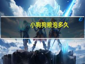 小狗狗粮泡多久
