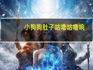 小狗狗肚子咕噜咕噜响