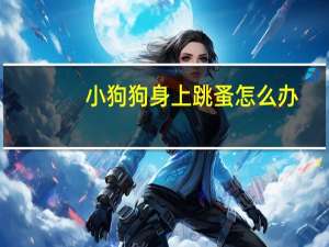 小狗狗身上跳蚤怎么办