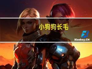 小狗狗长毛