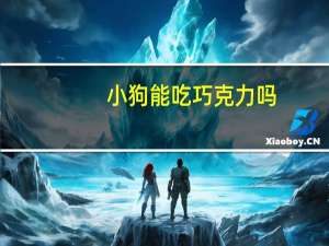 小狗能吃巧克力吗