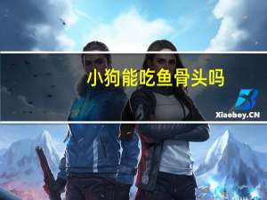 小狗能吃鱼骨头吗