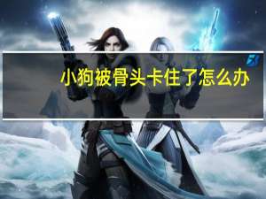 小狗被骨头卡住了怎么办