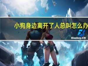 小狗身边离开了人总叫怎么办
