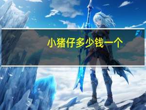 小猪仔多少钱一个