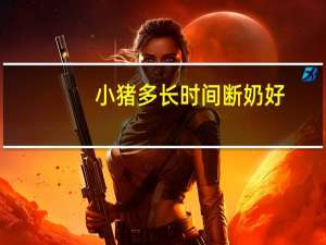 小猪多长时间断奶好