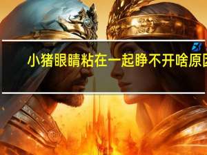 小猪眼睛粘在一起睁不开啥原因