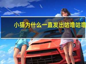 小猫为什么一直发出咕噜咕噜