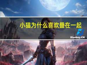小猫为什么喜欢叠在一起