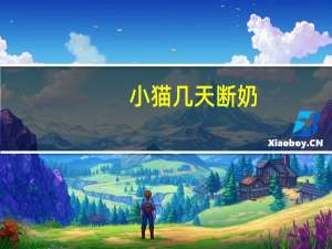 小猫几天断奶