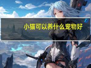 小猫可以养什么宠物好