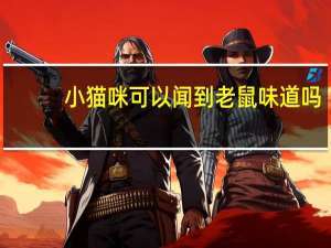 小猫咪可以闻到老鼠味道吗