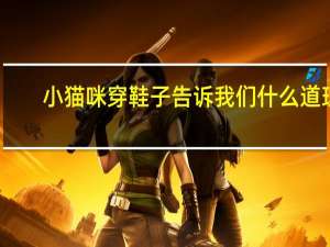 小猫咪穿鞋子告诉我们什么道理
