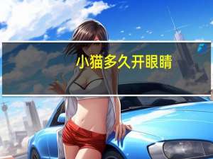 小猫多久开眼睛