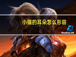 小猫的耳朵怎么形容
