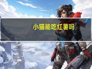小猫能吃红薯吗