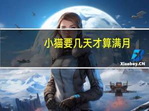 小猫要几天才算满月