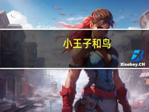 小王子和鸟（刺鸟与小王子）